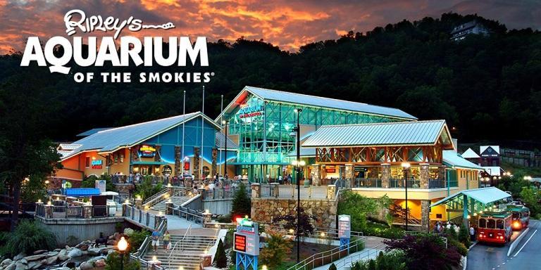 Modern Style, Arcade, Fire Pit, Pet Friendly Villa Pigeon Forge Exterior photo